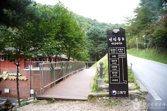 국립 백운산자연휴양림(원주) 사진