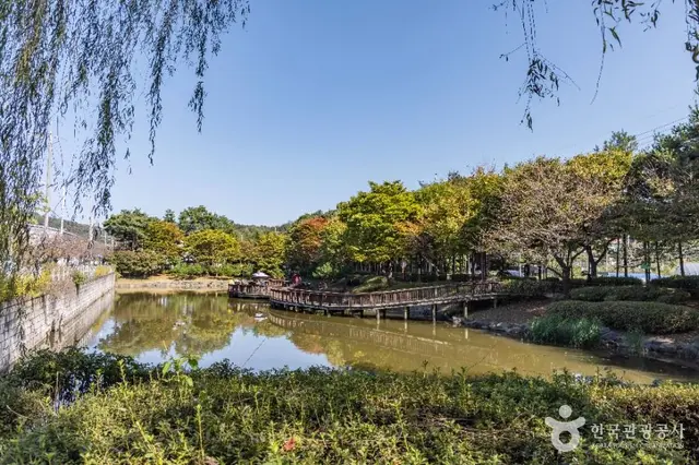 궁동저수지 생태공원 사진