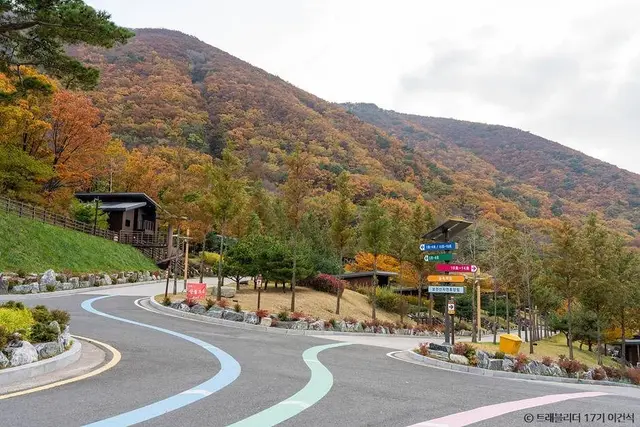 보현산자연휴양림 산림복합체험관 사진