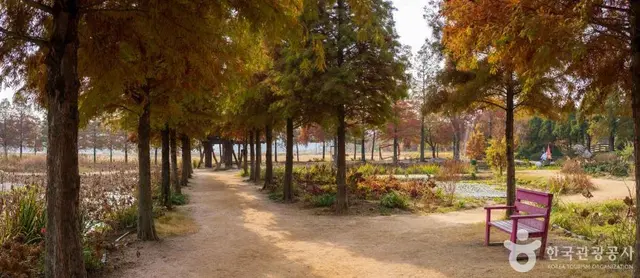청산수목원 사진