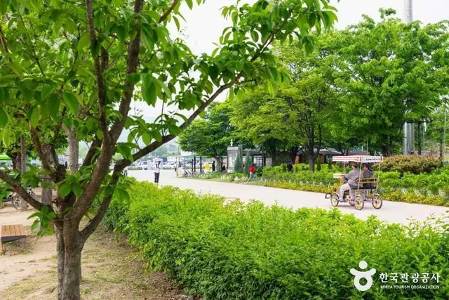 구리한강시민공원 사진