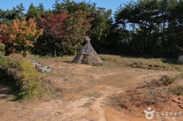 울산테마식물수목원 사진