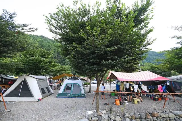 둘레길오토캠핑장 사진