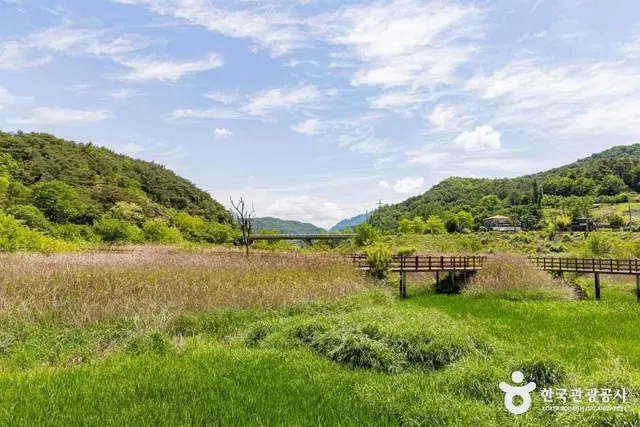 옥순봉생태공원 사진