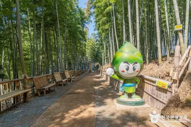 거제맹종죽테마공원 사진