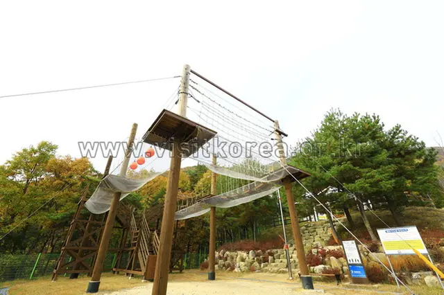 철원군 병영체험수련원 사진