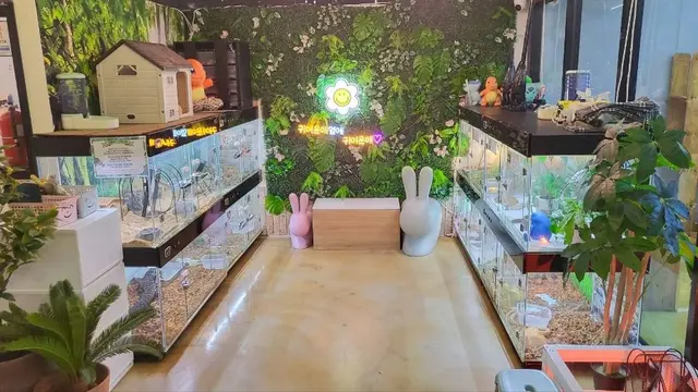 마리앤쥬 사진