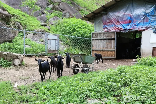 서지관광농원 사진