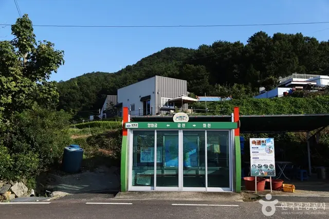 남해금천갯벌체험장 사진