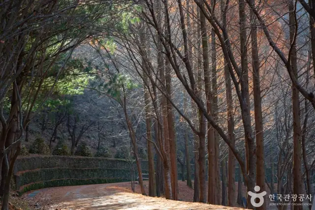 상소동 산림욕장 사진