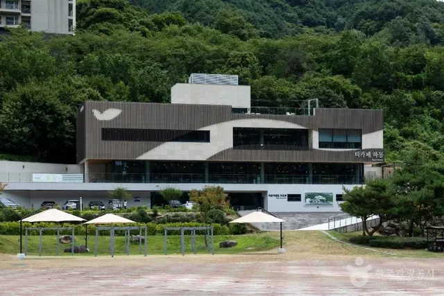 하동야생차박물관 사진