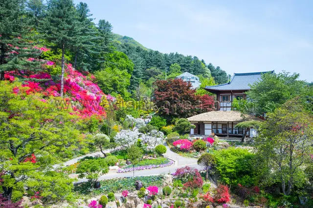 아침고요수목원 사진