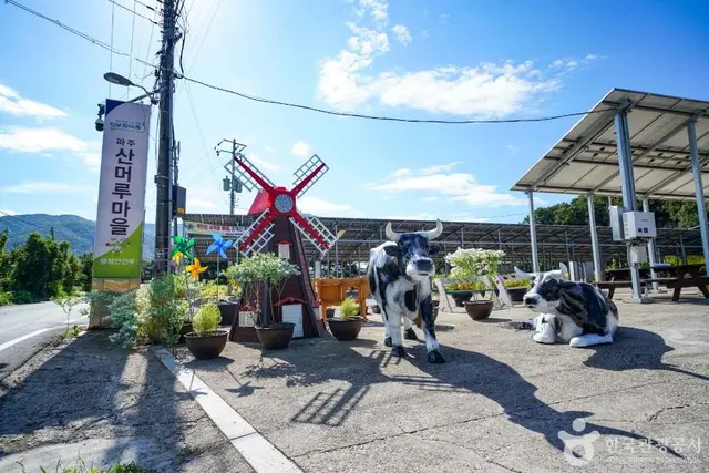 파주 산머루마을 사진