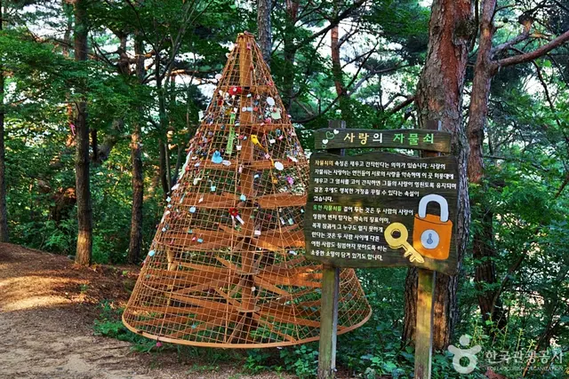 회룡포전망대 사진