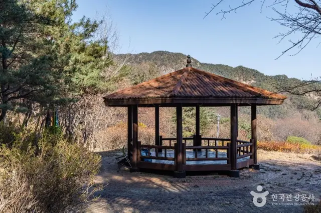 성주봉자연휴양림 사진