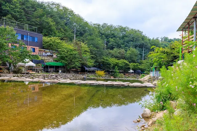 군위 솔밭야영장 사진