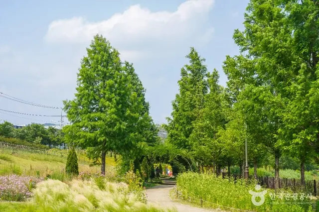 대구 세천늪테마정원 사진
