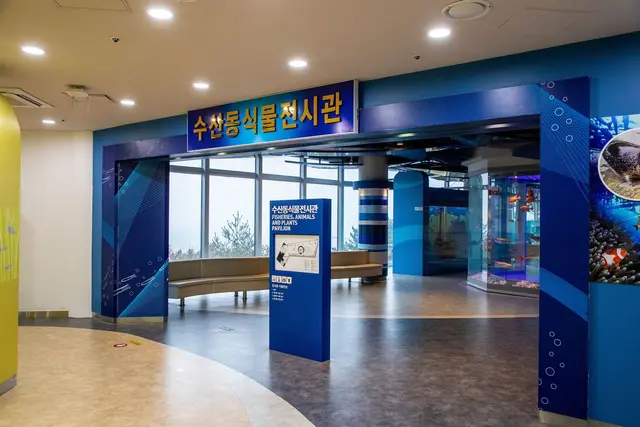 영덕어촌민속전시관 사진