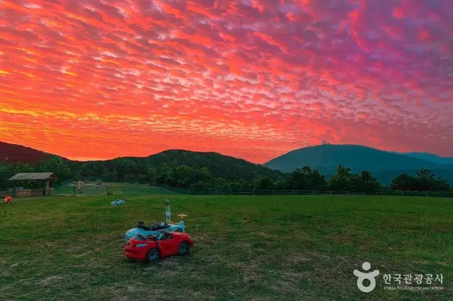 울산양떼목장 사진
