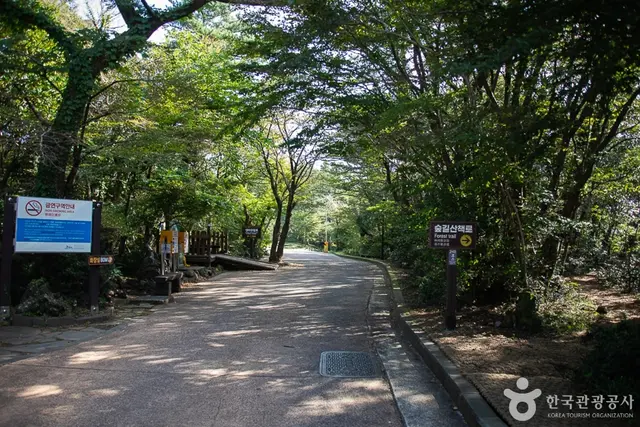서귀포자연휴양림 사진