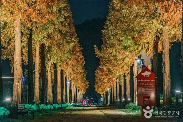 덕산 메타세쿼이아길 사진
