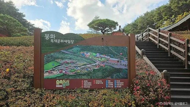 봉화목재문화체험장 사진
