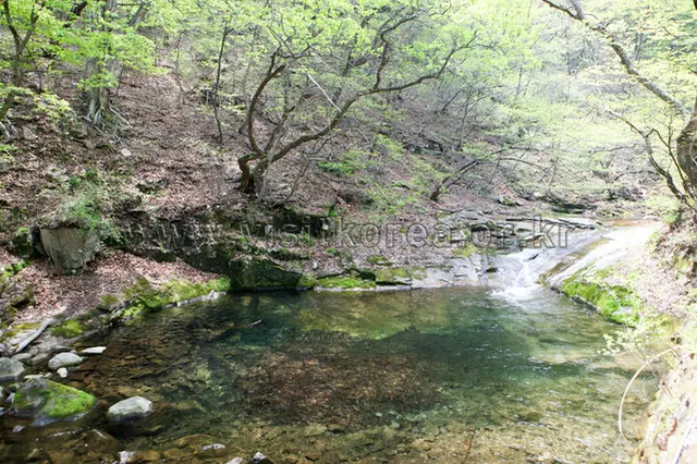 동학사계곡 사진