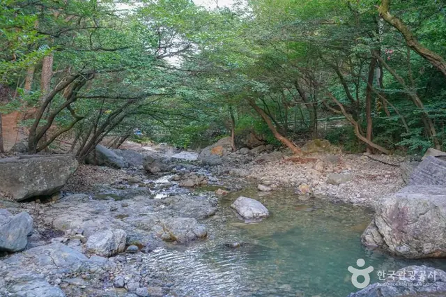 장유대청계곡 사진