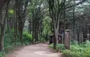 독산성산림욕장 사진