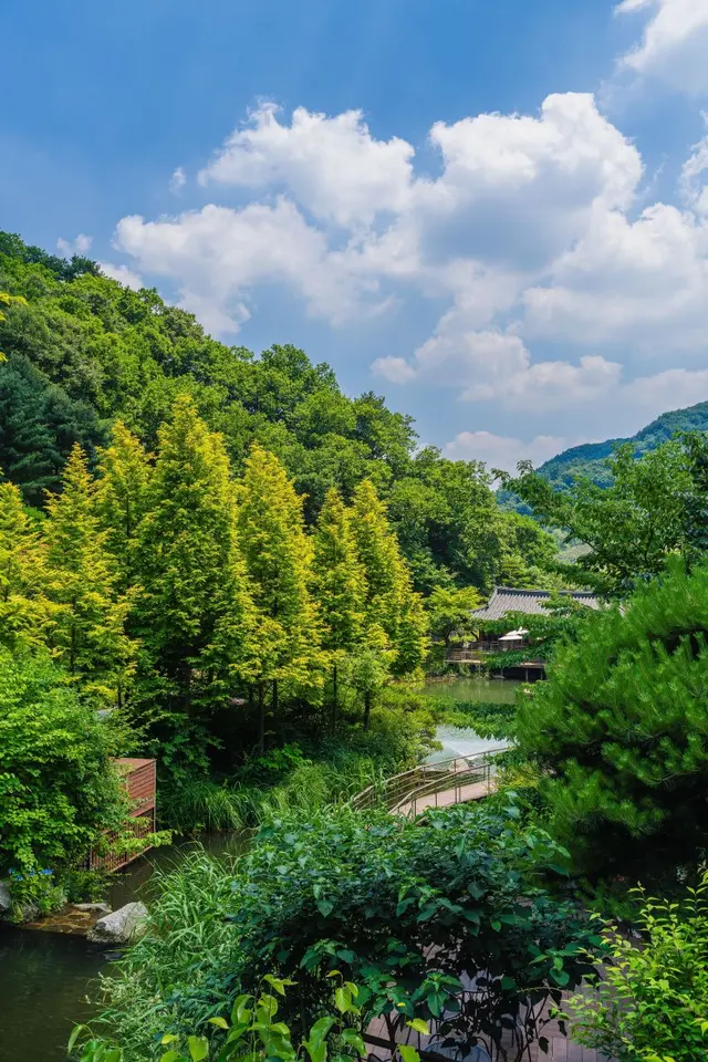화담숲 사진
