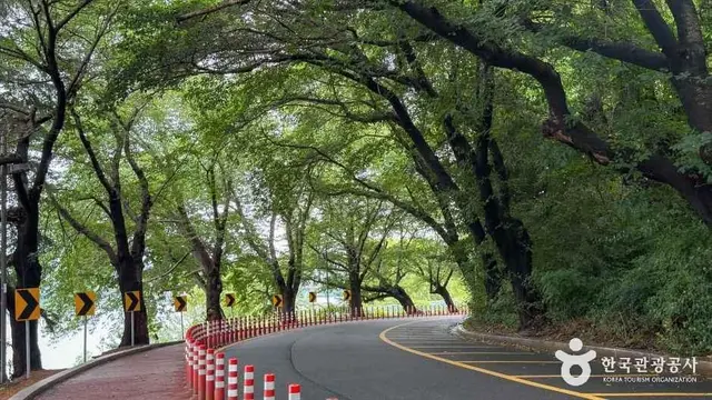 은파호수공원 사진