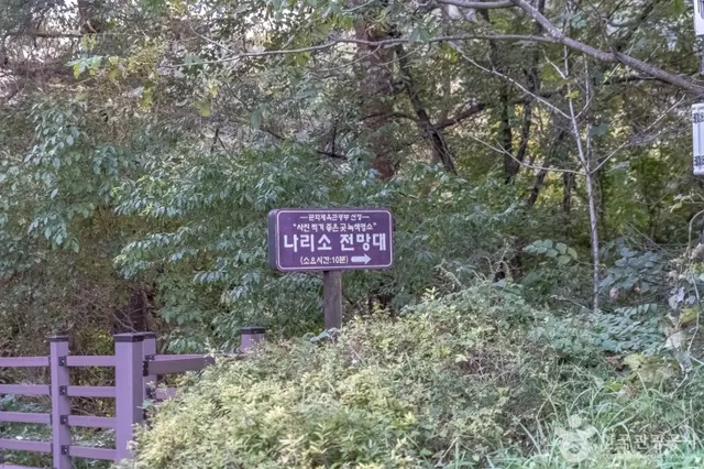 나리소전망대 사진