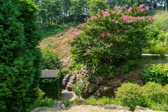 수생식물학습원 사진