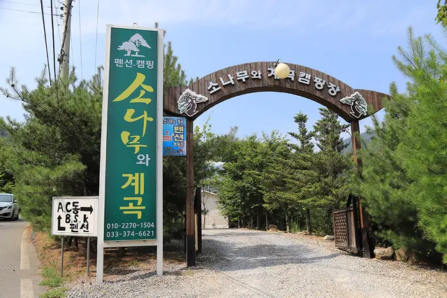 소나무와계곡캠핑장 사진