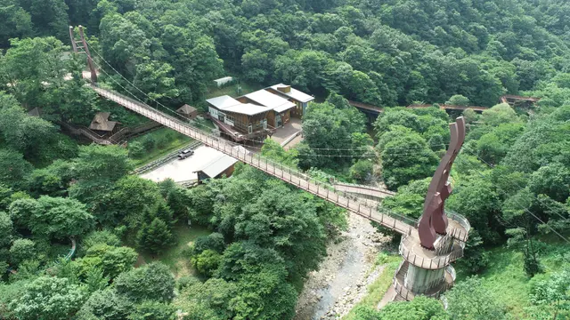 금산산림문화타운 사진