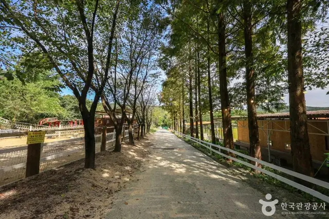 은아목장 사진