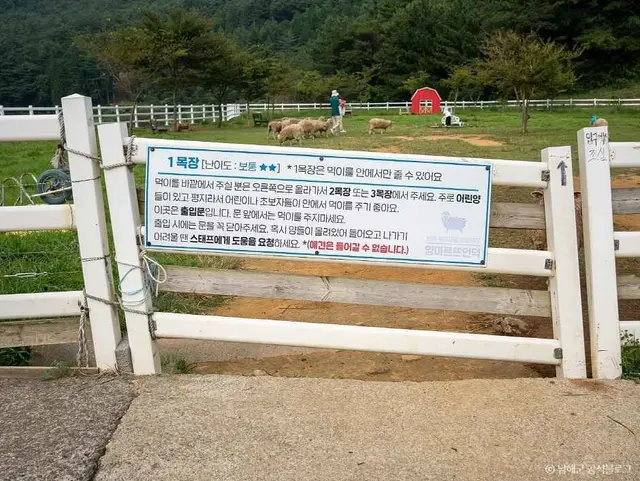 남해양떼목장 양마르뜨언덕 사진