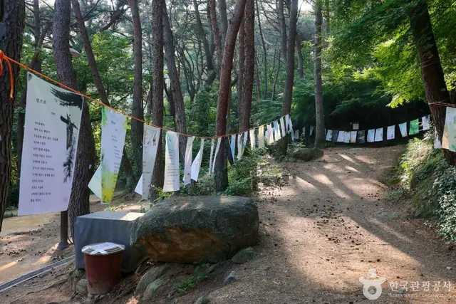 금강공원 사진