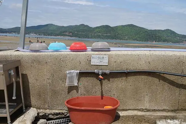 둔촌갯벌체험장 사진