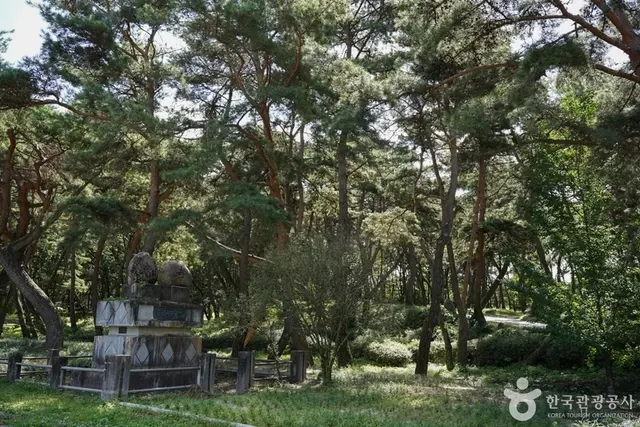 곰내미체험마을 사진