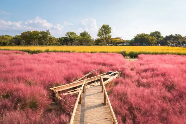 바람새마을 사진