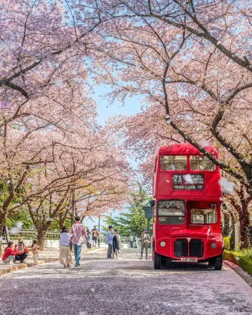 이월드 사진