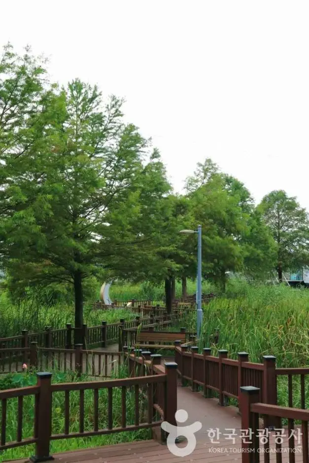 왕송호수공원 사진
