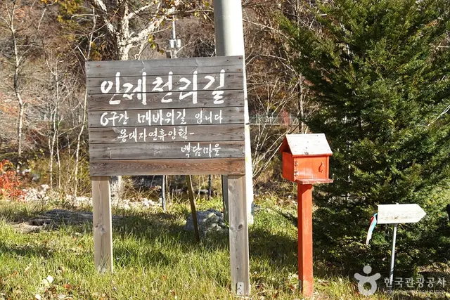 국립 용대자연휴양림 사진