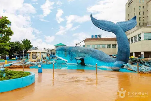 호텔마스타대천 워터파크 사진