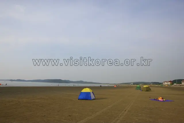 신두리해수욕장 사진