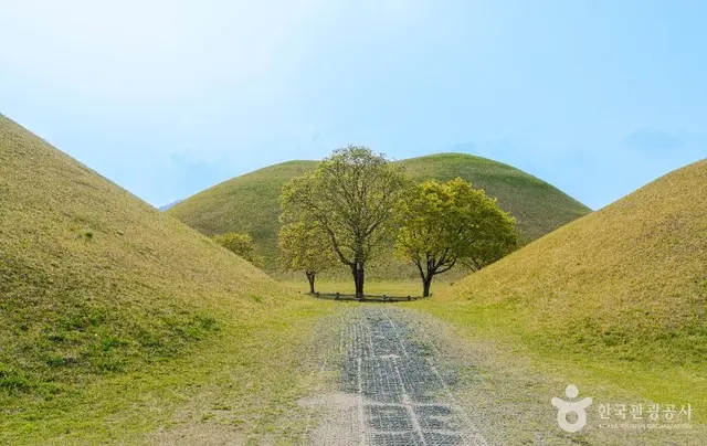 경주 대릉원 사진