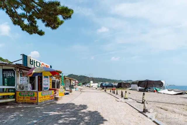 봉길대왕암해변 사진