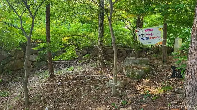 화왕산자연휴양림 사진