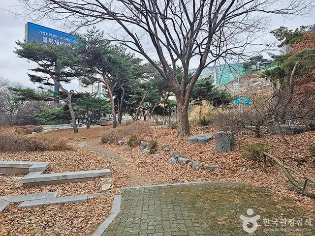 청담도로공원 사진